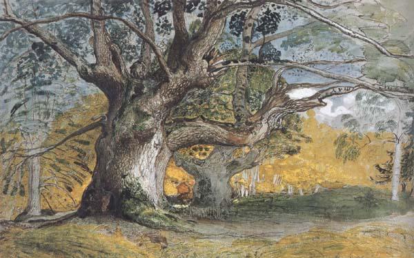 Samuel Palmer Oak Trees,Lullingstone Park Germany oil painting art
